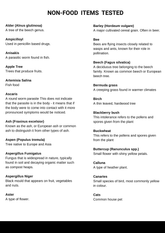 Healthy Lab – 325 Environmental (Non-Food) Sensitivity Panel (Hair Sample)