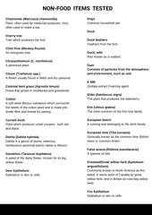 Healthy Lab – 325 Environmental (Non-Food) Sensitivity Panel (Hair Sample)